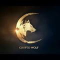 The Wolf Crypto 🐺