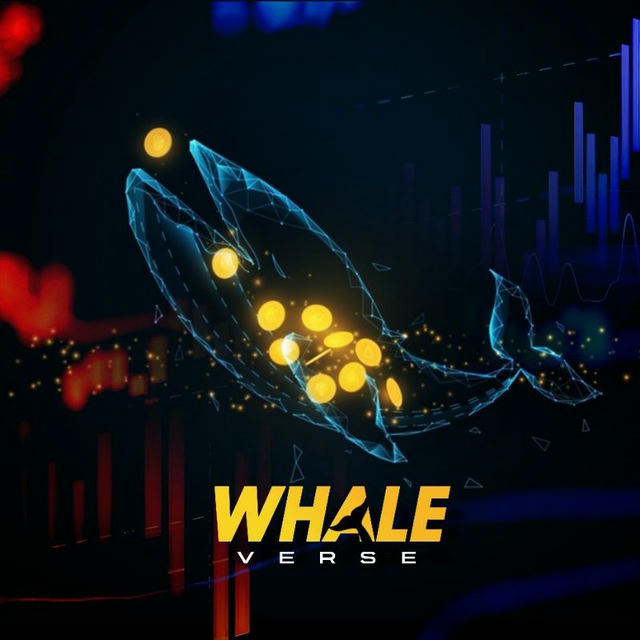 𝐖𝐇𝐀𝐋𝐄 𝐕𝐄𝐑𝐒𝐄