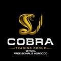 COBRA FX MOROCCO