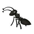 Алтайский муравей