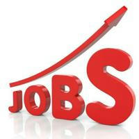 Latest Jobs Alert Vacancy Update