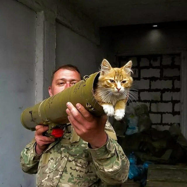 Military CAT | Sudzha | Kursk Oblast | Gaza | Israel