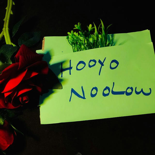 HOOYO NOOLOW ||🕊