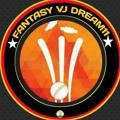 Fantasy vj dream 11