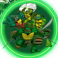 ❲ tmnt wonderful ❳