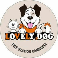 Lovely Dog Pet Station