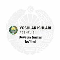 Boysun yoshlari (Yoshlar ishlari agentligi)