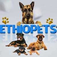 Ethio pets shop