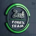 ZeekFx With Mentor Team