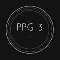 PPG3
