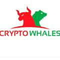📌 CRYPTO WHALES GUIDE