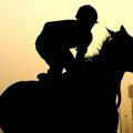 Winning Horse 🐎🐎