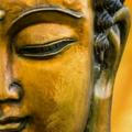 Buddhas Quotes