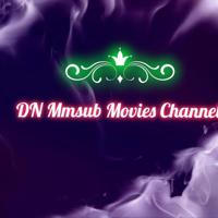 DN Movies Channel 3
