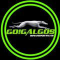⭐️ Go!GALGOS TipS ⭐️