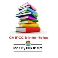 P6B Strategic Management : CA Inter Notes