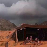 وناسة البر