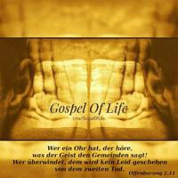 Gospel Of Life