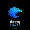 Classy Eagle Esports