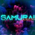 TDM • SAMURAI