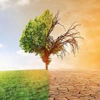 🔥 𝔾𝕃𝕆𝔹𝔸𝕃 𝕎𝔸ℝ𝕄𝕀ℕ𝔾: Cambiamento climatico • Surriscaldamento globale • Green economy