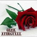 QiZil_AtirGulll🌹