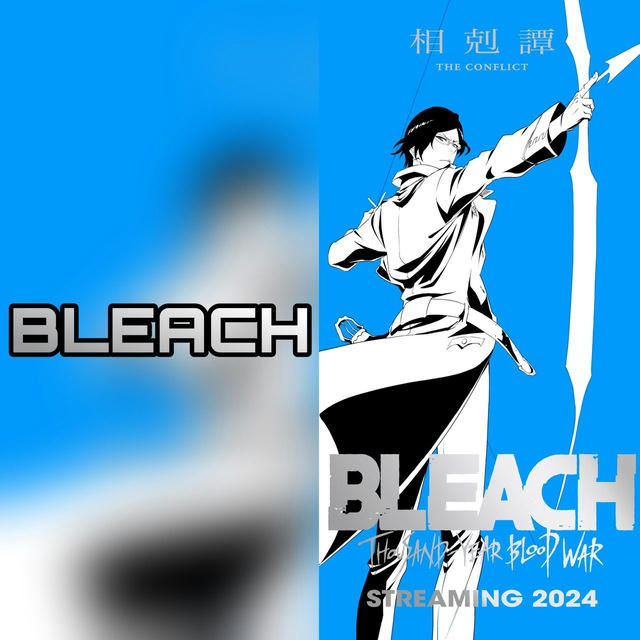 Bleach [English Dub+sub]