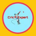 CRIC11 EXPERT TEAMS