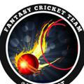 fantasy_cricket_teams