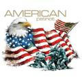 __American Patriot......We the People..