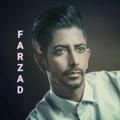 Farzad_BiEtemad_Org