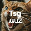 tsg.muz