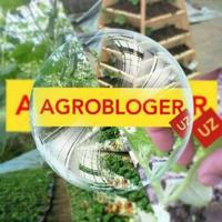 AGROBLOGER (Zahid Abdusalamov)