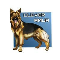 CLEVER_AMUR