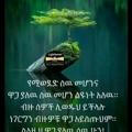 Ethio iselamic gerup