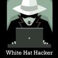 HAT GREY HACKS