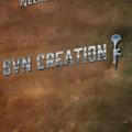 SVN_CREATION ( Additional channel )