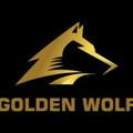 GOLDEN WOLF 🐺