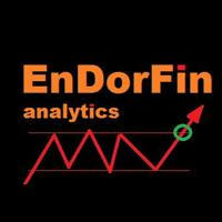 EnDorFin analytics