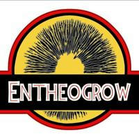 Entheogrow2
