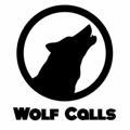 Wolf Calls ( Banknifty Nifty )