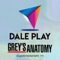 Grey's Anatomy Todas las Temporadas (1-17)