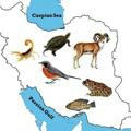 منابع علمی حیات وحش ایران