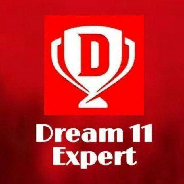 Dream 11 Vijay Thakre 🎁🏆