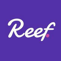 Reef Announcement Channel