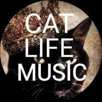 Cat_life_music_сhanel🎧