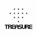 Themer Bot Treasure