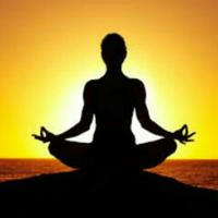 Yogasanas: Yoga and Meditation: Learn Yoga Learn Meditation