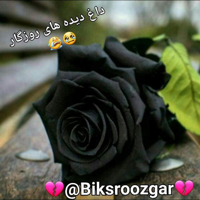 💔داغ دیده های روزگار 💔