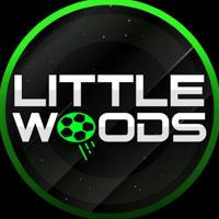 LittleWoods | Прогнозы на спорт